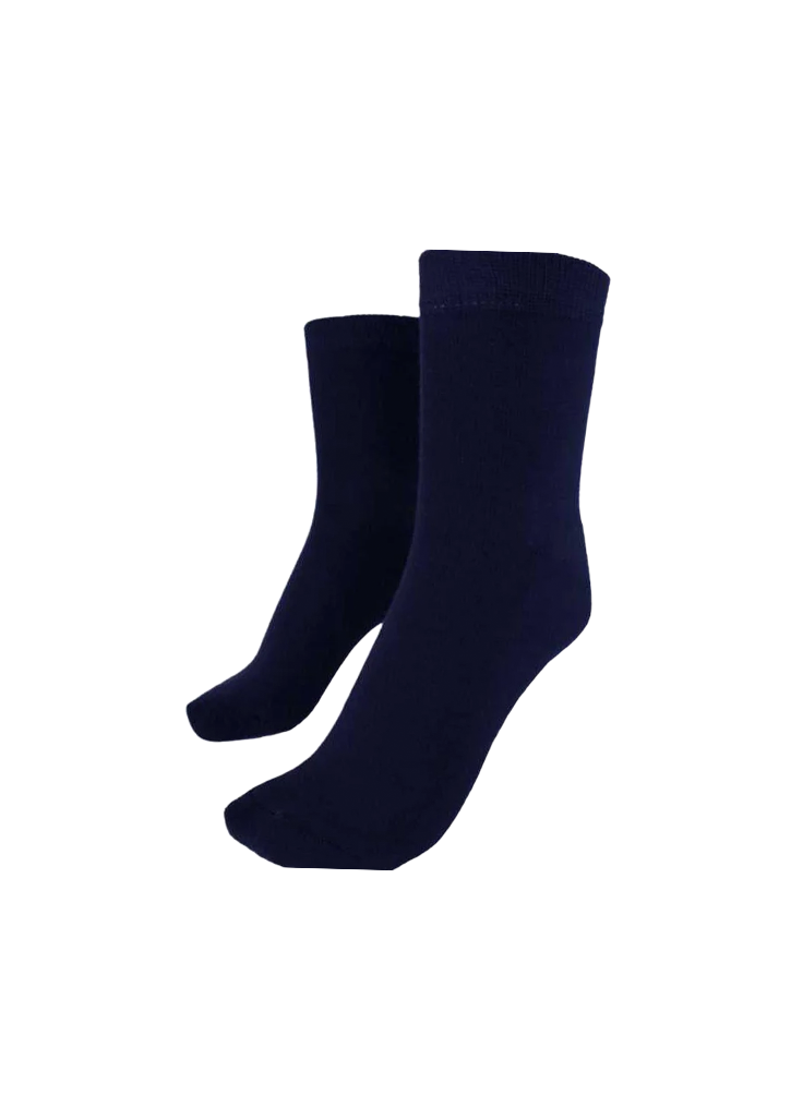 Bunnell Quarter Socks [2 Pack] Navy